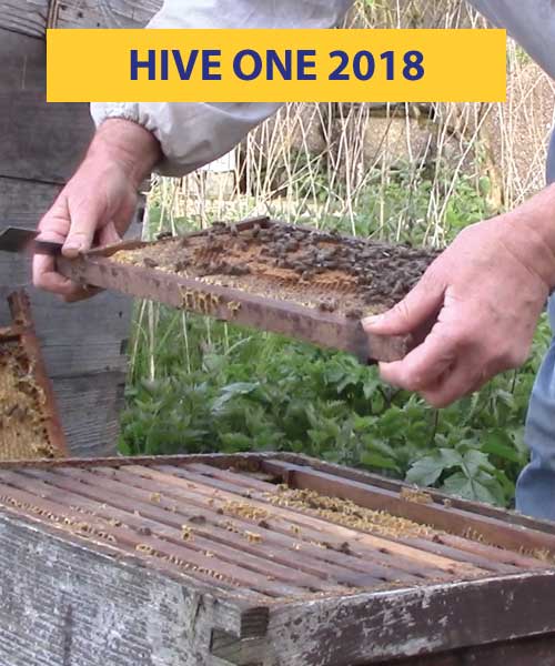 Hive one 2018