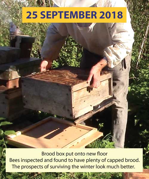 Inspection 25th September 2018