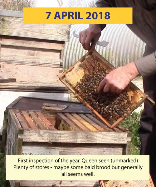 First inspection 7th April 2018