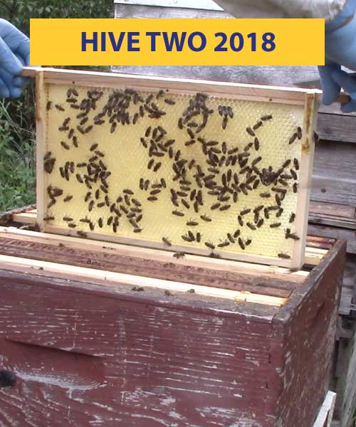 Hive two 2018