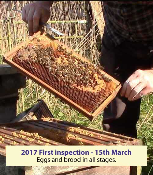 First inspection 15 March 2017