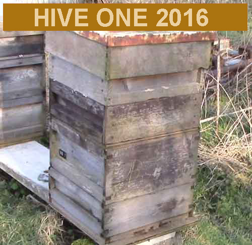 Hive one 2016