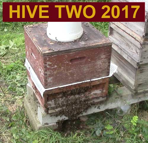 Hive two 2017