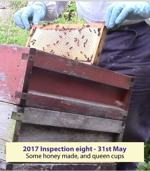 Inspection eight