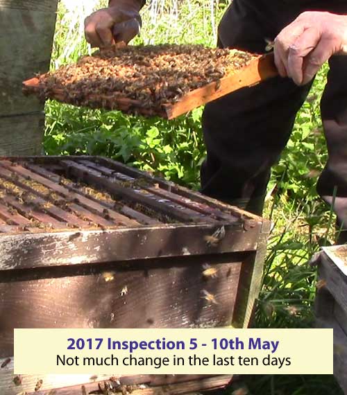 Inspection five - not much to report